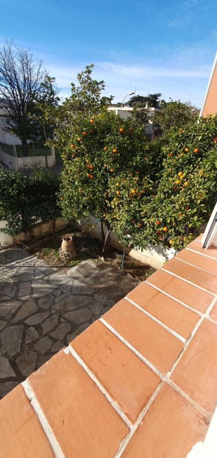 Appartement Entier Au Dessus De Villa, Climatisation Reversible Poele A Bois Tres Chaleureux , Wi Fi Parking Privee Gratuit Situation 500 M, Plage Et Centre Ville Sanary-sur-Mer Exteriör bild